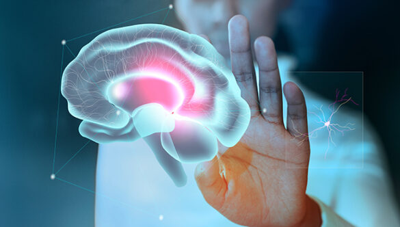 Can Epilepsy Be Cured Completely?